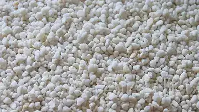 Perlite